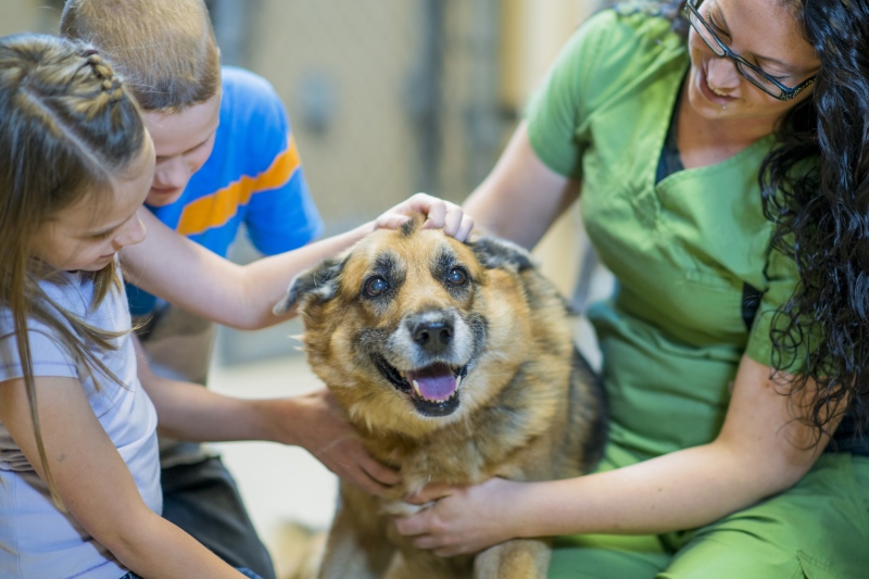 Privacy Policy - Mt. Pleasant Animal Shelter