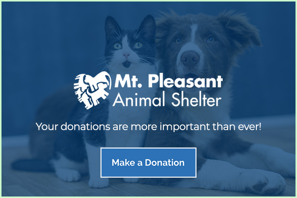 Homepage - Mt. Pleasant Animal Shelter