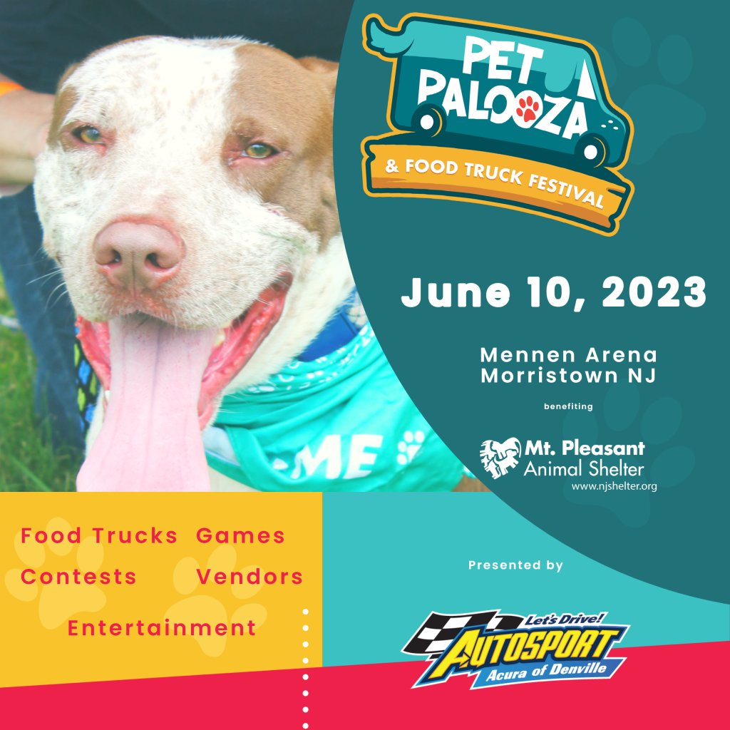 Pet palooza mt pleasant animal shelter