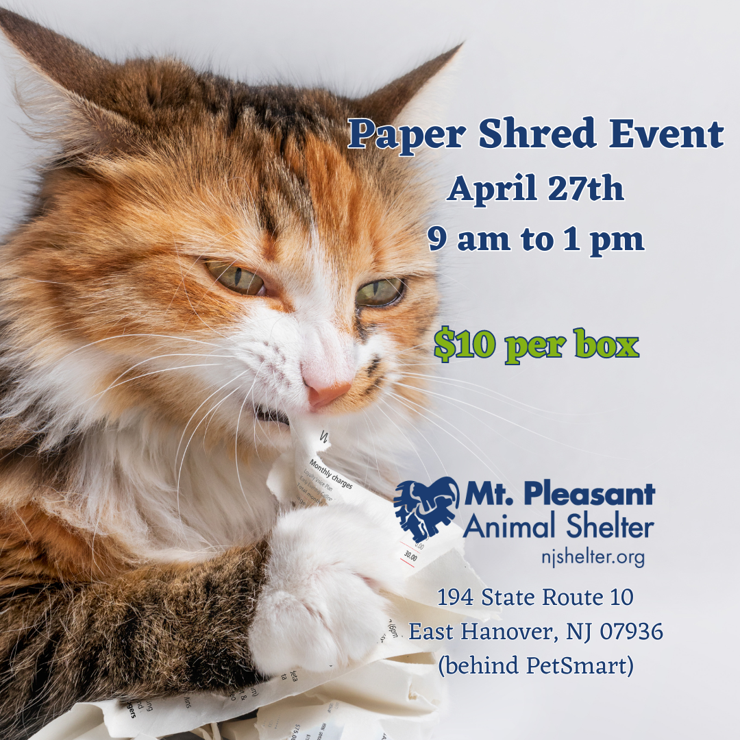 Spring Shred Event Mt. Pleasant Animal Shelter
